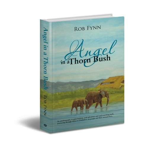 Angel in a Thorn Bush